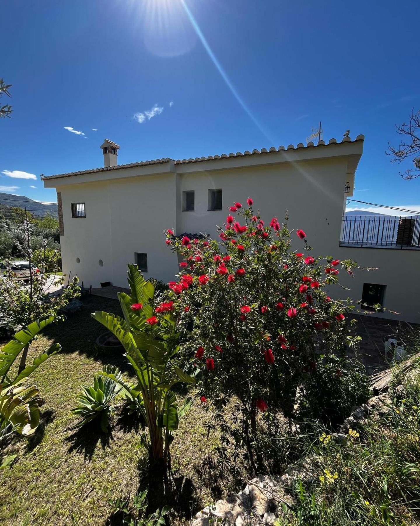 Cortijo Privilegio 兰哈龙 外观 照片